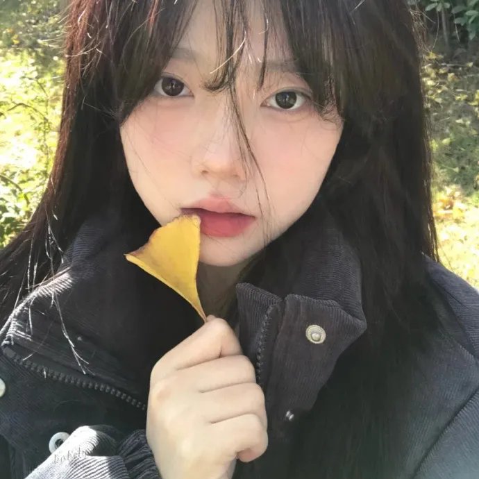 菩提树